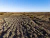 5566 Tieline Road, Gnowangerup WA 6335-Image