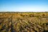 5566 Tieline Road, Gnowangerup WA 6335-Image