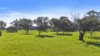 56 Kingsway Road, Kuitpo, SA 5201-Image