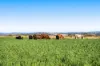 56 Pukallus Road, Crows Nest QLD 4355-Image