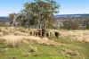 56 Pukallus Road, Crows Nest QLD 4355-Image
