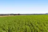56 Pukallus Road, Crows Nest QLD 4355-Image