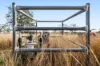 56 Pukallus Road, Crows Nest QLD 4355-Image