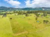 561, Kimbriki NSW 2429-Image