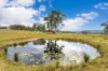 561, Kimbriki NSW 2429-Image