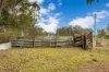 561, Kimbriki NSW 2429-Image