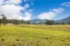 561, Kimbriki NSW 2429-Image