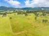 561 Kimbriki Road, Kimbriki, NSW 2429