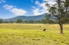 561 Kimbriki Road, Kimbriki, NSW 2429-Image