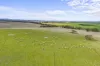 564 Linton-Naringhil Road, Linton, Vic 3360-Image