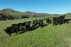 5695 Melba Highway, Yea, Vic 3717-Image