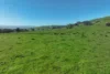5695 Melba Highway, Yea, Vic 3717-Image
