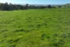 5695 Melba Highway, Yea, Vic 3717-Image