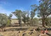 572 Jaloran Road, Wagin, WA 6315-Image