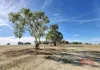 572 Jaloran Road, Wagin, WA 6315-Image