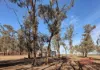 572 Jaloran Road, Wagin, WA 6315-Image
