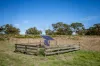 576 Lochaber North Road, Lochaber, SA 5271-Image
