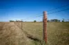 576 Lochaber North Road, Lochaber, SA 5271-Image