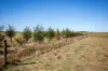 576 Lochaber North Road, Lochaber, SA 5271-Image