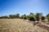 576 Lochaber North Road, Lochaber, SA 5271-Image