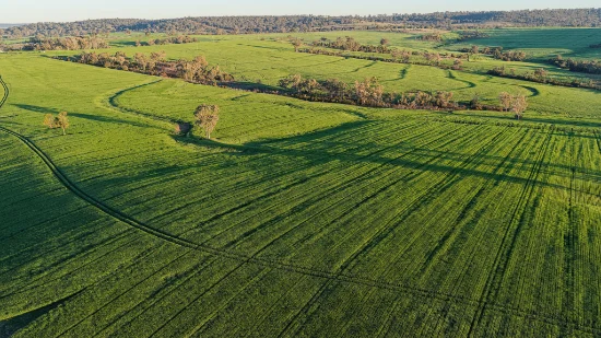 578 Innesvale Road, Warialda, NSW 2402