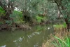 58 Orchard Road, Burekup, WA 6227-Image