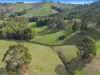 585 Torwood Topiram Road, Torwood, Vic 3821-Image