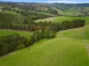 585 Torwood Topiram Road, Torwood, Vic 3821-Image