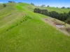 585 Torwood Topiram Road, Torwood, Vic 3821-Image