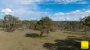 594 Elsmore Road, Inverell NSW 2360-Image