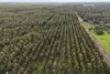 595 Fouracres Road, Scott River East, WA 6275-Image