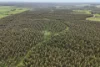 595 Fouracres Road, Scott River East, WA 6275-Image