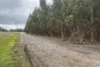 595 Fouracres Road, Scott River East, WA 6275-Image
