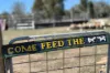 597 Fishers Lane Bendick Murrell via, Young, NSW 2594-Image