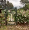 597 Fishers Lane Bendick Murrell via, Young, NSW 2594-Image