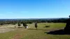 597 Fishers Lane Bendick Murrell via, Young, NSW 2594-Image