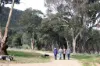 597 Fishers Lane Bendick Murrell via, Young, NSW 2594-Image