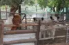 597 Fishers Lane Bendick Murrell via, Young, NSW 2594-Image