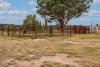 60 Beechworth Road, Mudgee, NSW 2850-Image