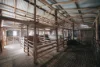 60 Beechworth Road, Mudgee, NSW 2850-Image
