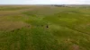 602 McCabe Road, Wanbi, SA 5310-Image