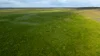 602 McCabe Road, Wanbi, SA 5310-Image