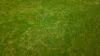602 McCabe Road, Wanbi, SA 5310-Image