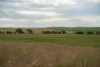 602 McCabe Road, Wanbi, SA 5310-Image