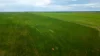 602 McCabe Road, Wanbi, SA 5310-Image