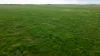 602 McCabe Road, Wanbi, SA 5310-Image