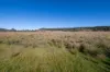 606 Sutherland Road, Koorawatha, NSW 2807-Image