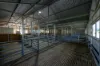 606 Sutherland Road, Koorawatha, NSW 2807-Image