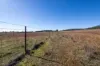 606 Sutherland Road, Koorawatha, NSW 2807-Image