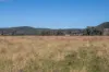 606 Sutherland Road, Koorawatha, NSW 2807-Image